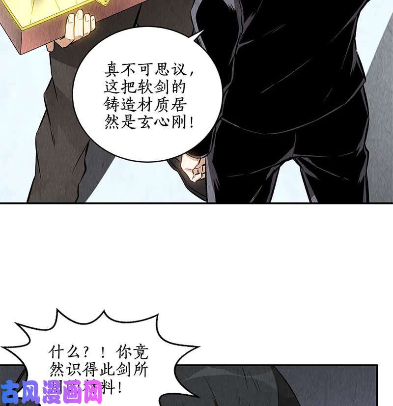 我本废柴冷兵器？！