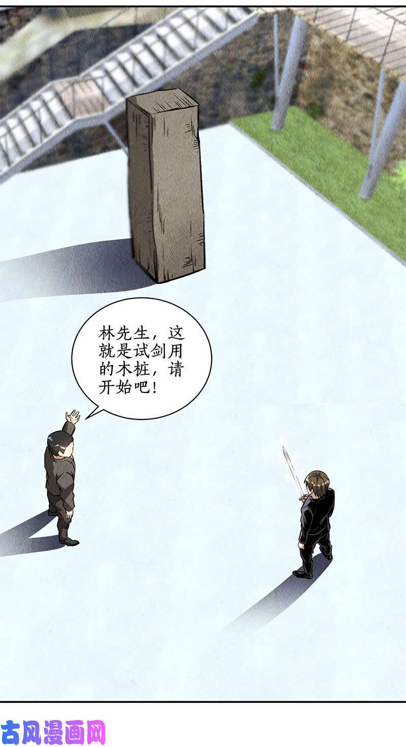 我本废柴绝世好剑