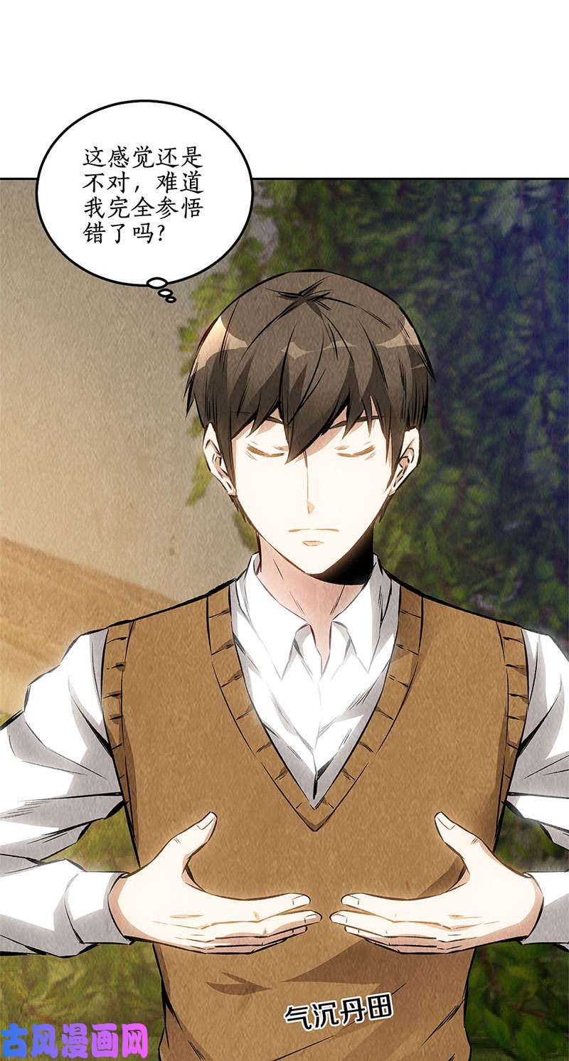 我本废柴暗藏玄机