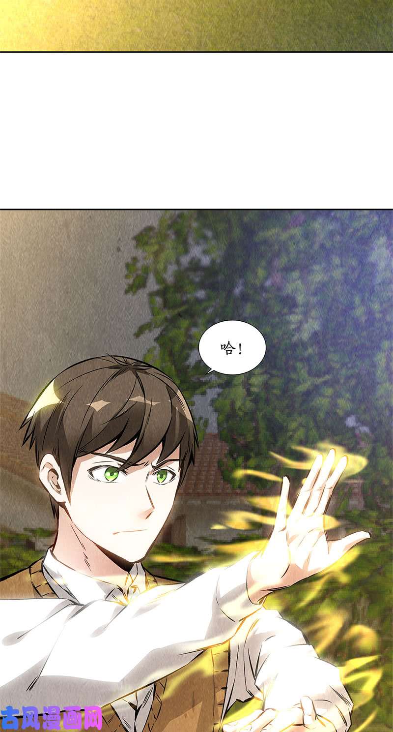 我本废柴欧式锻造