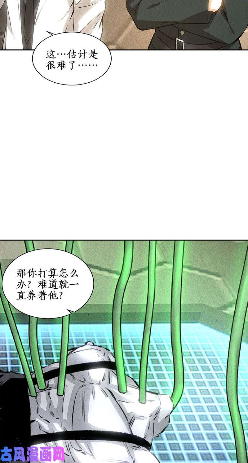 我本废柴异国分部