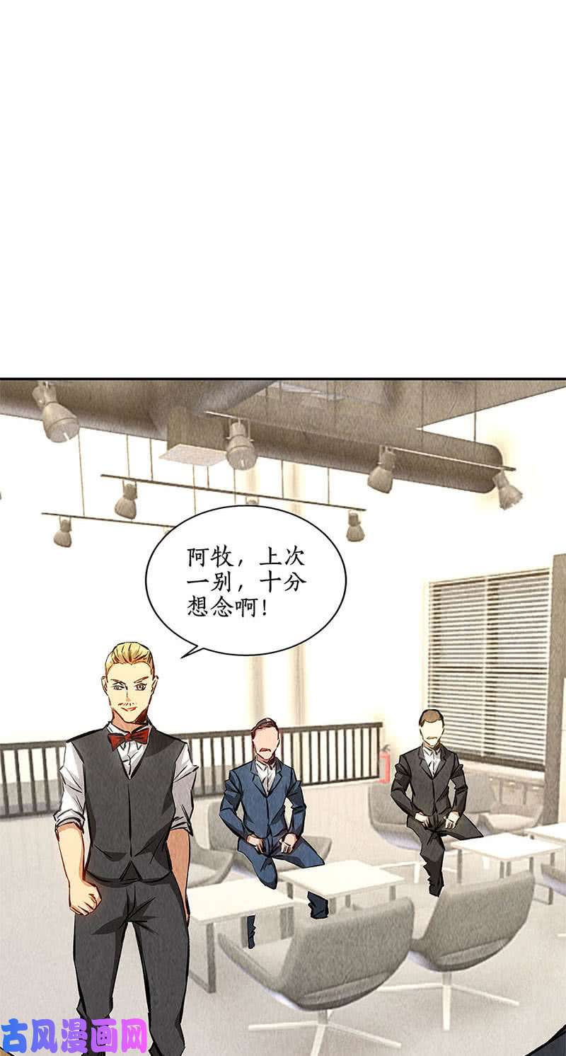 我本废柴新同事