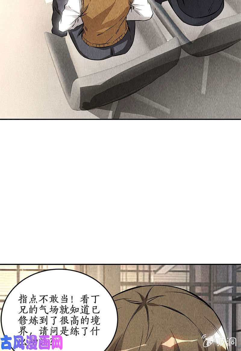 我本废柴新同事