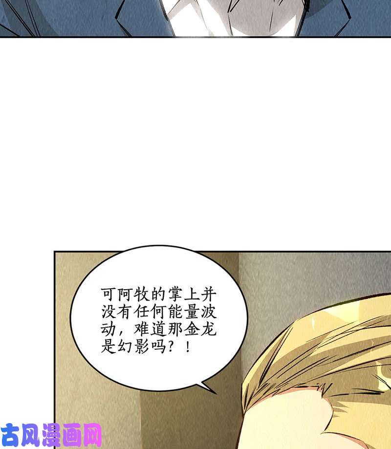 我本废柴金龙现