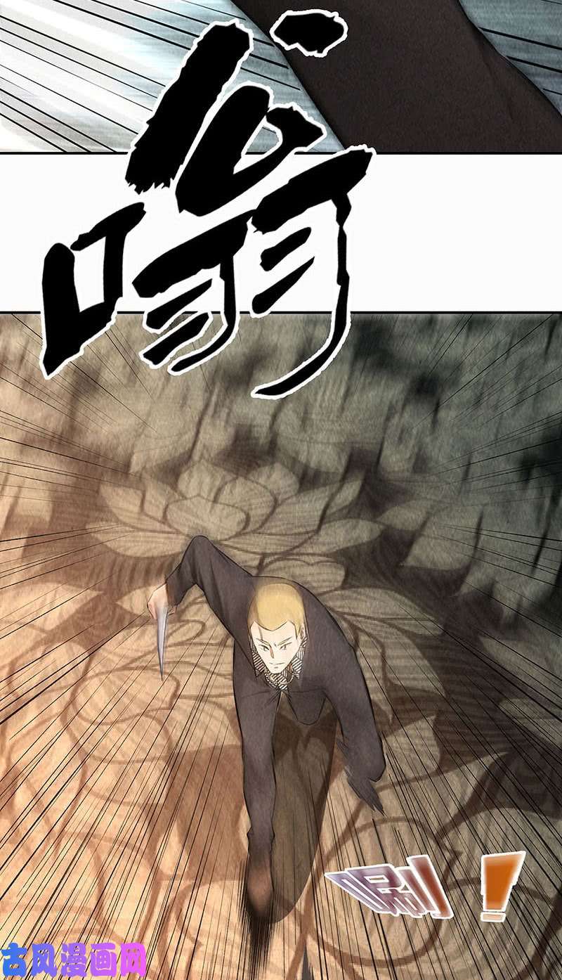 我本废柴算账