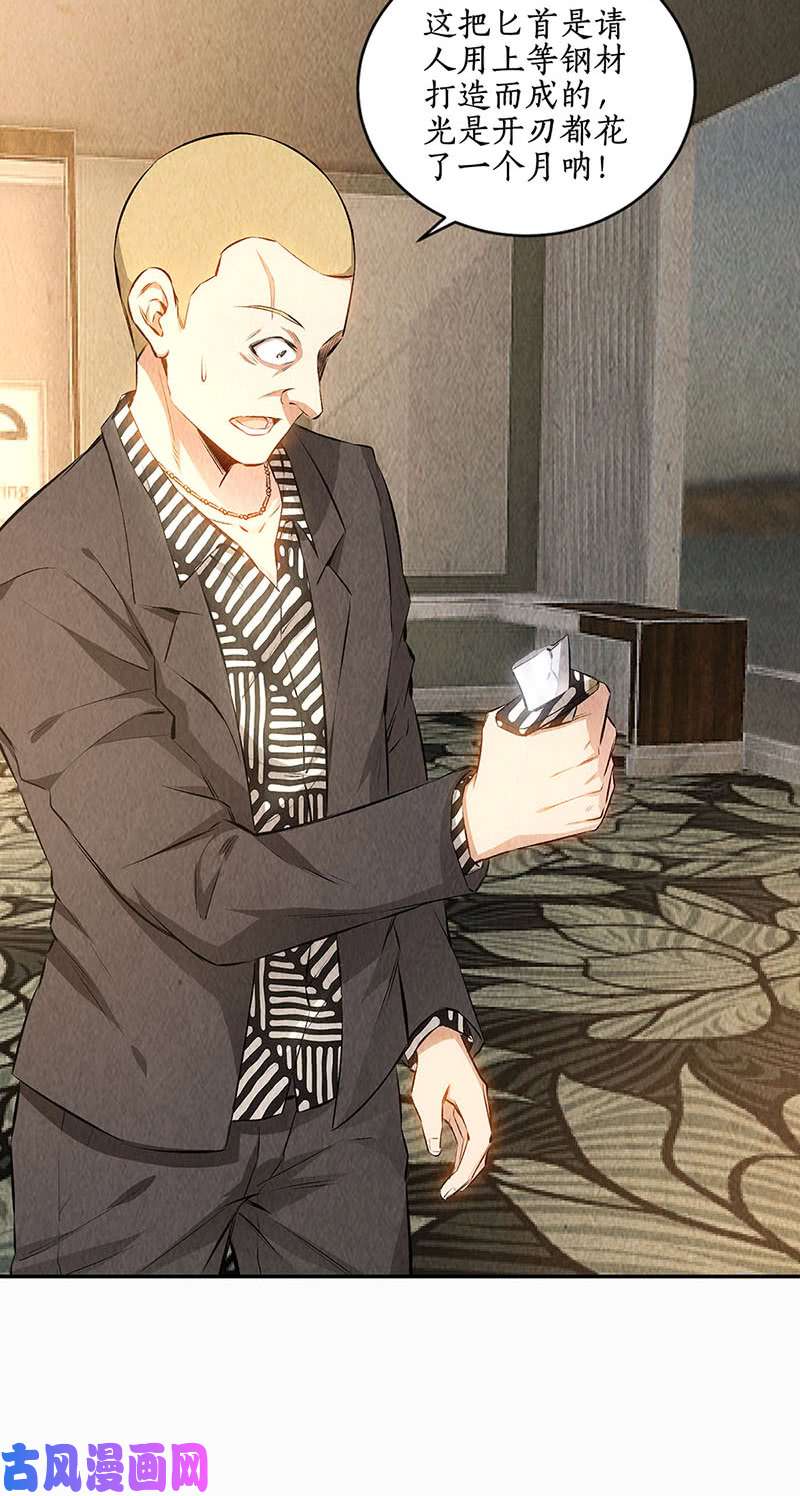 我本废柴金钱豹