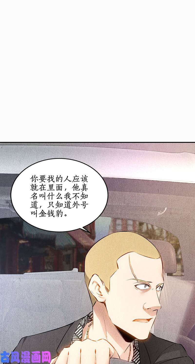 我本废柴金钱豹