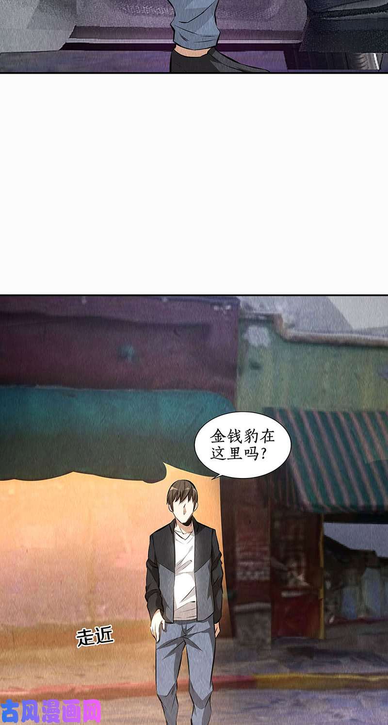 我本废柴金钱豹