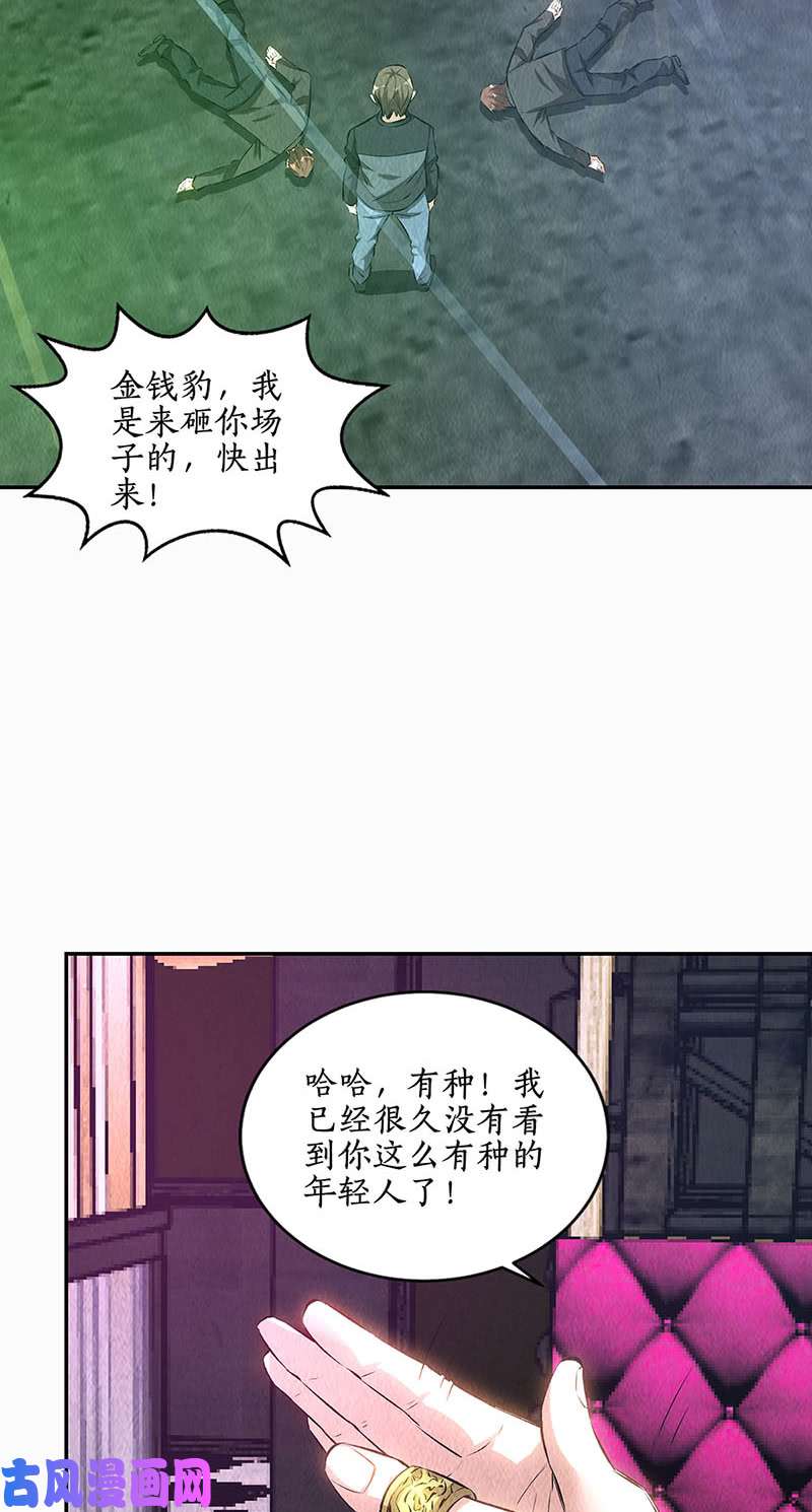 我本废柴金钱豹