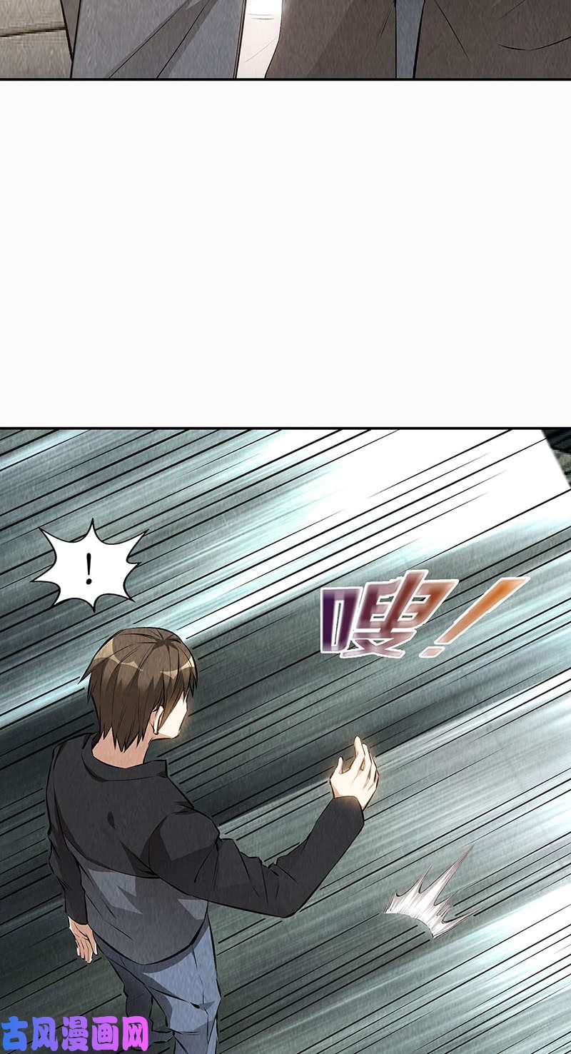 我本废柴金钱豹