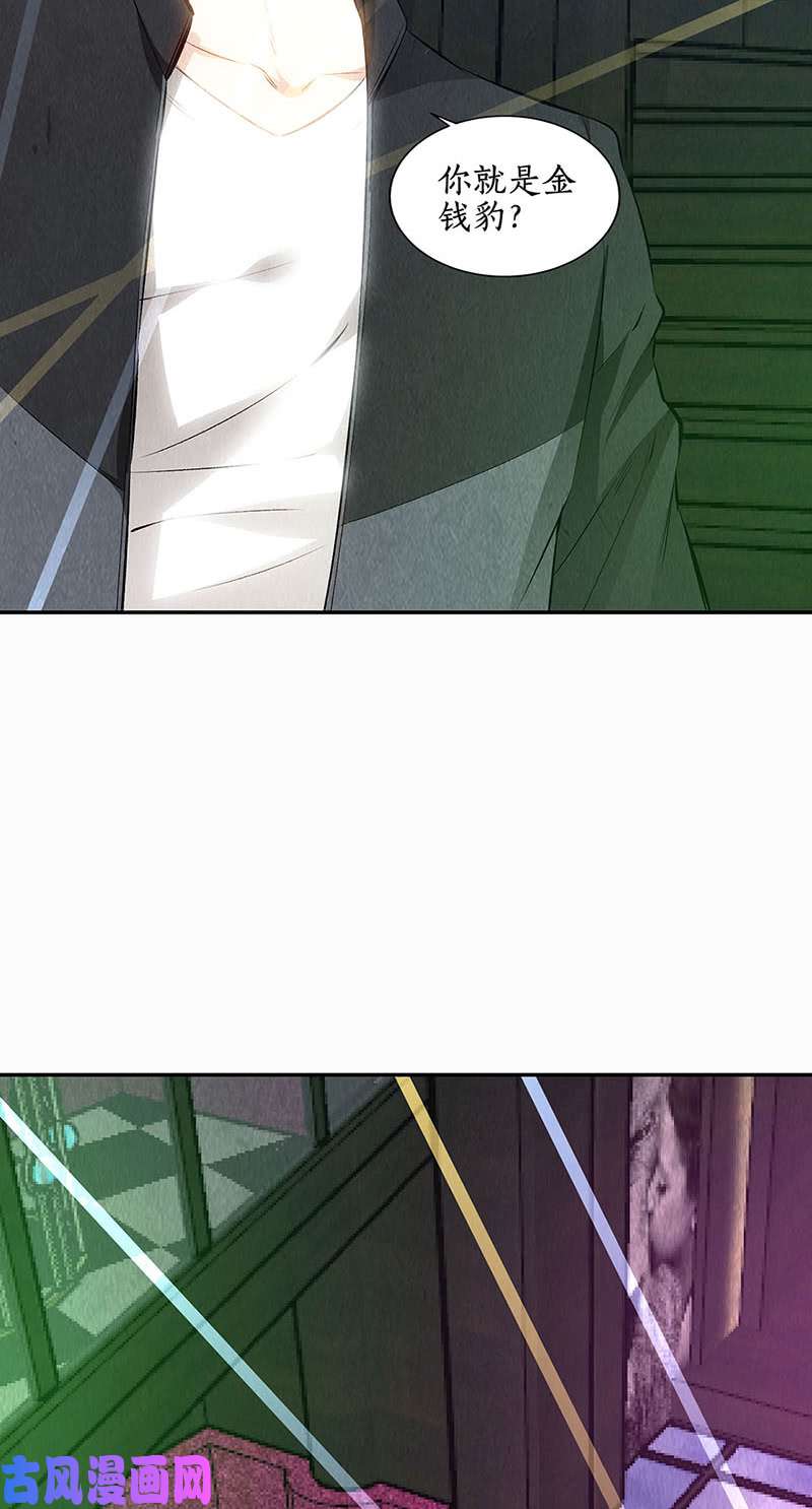 我本废柴金钱豹