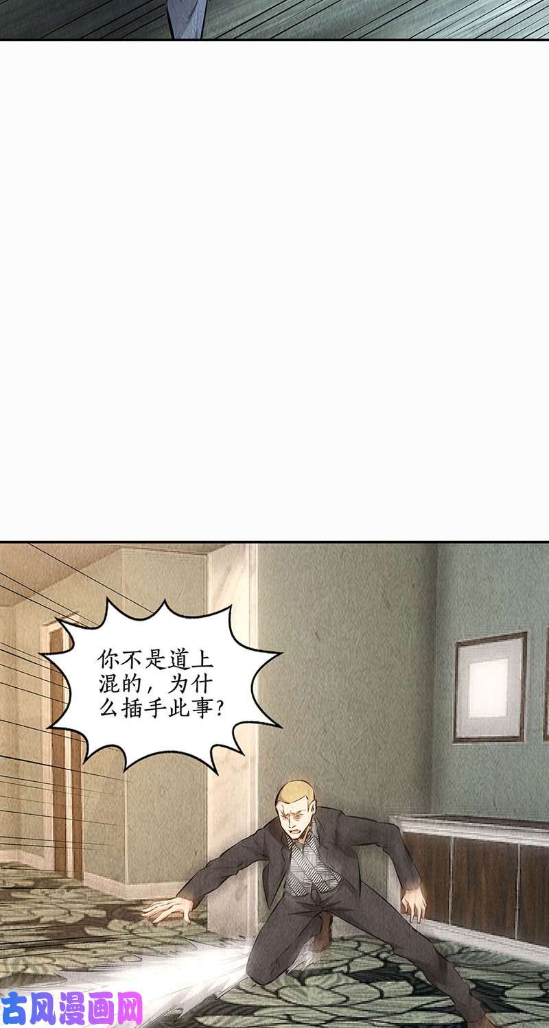 我本废柴金钱豹