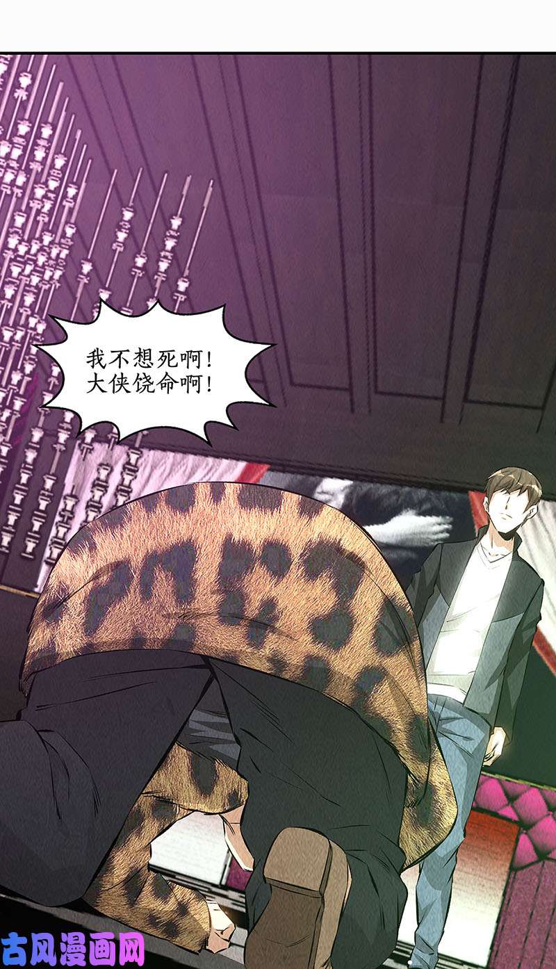 我本废柴人仰马翻