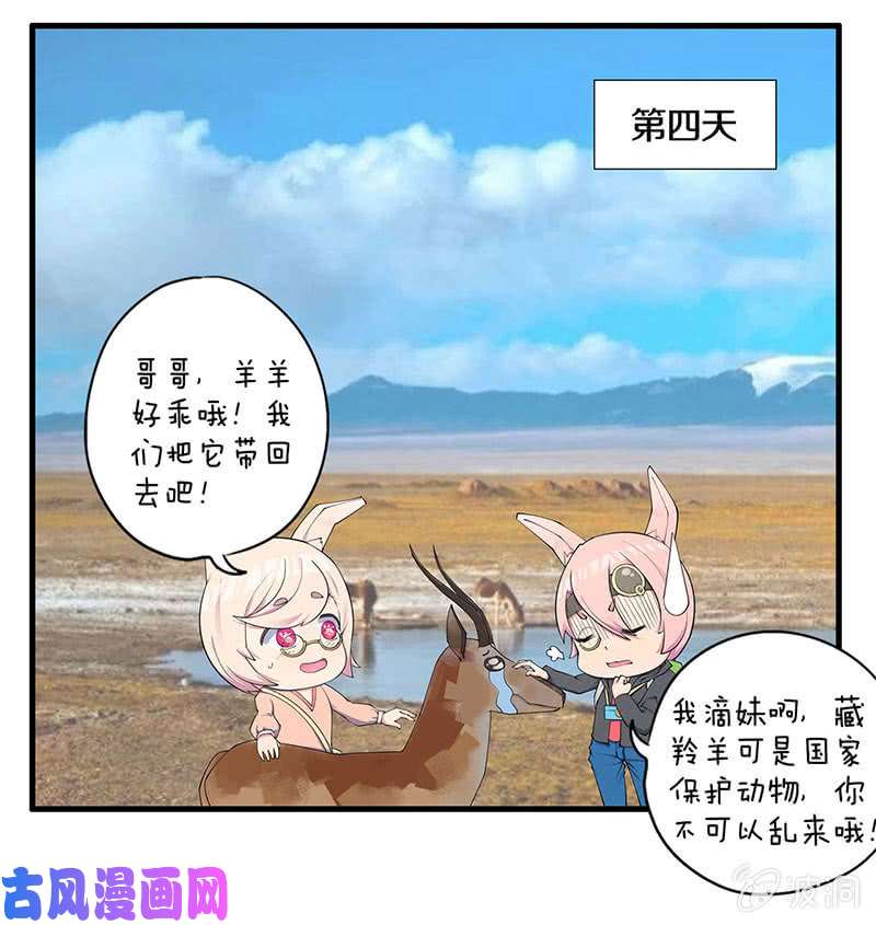 我本废柴对阵