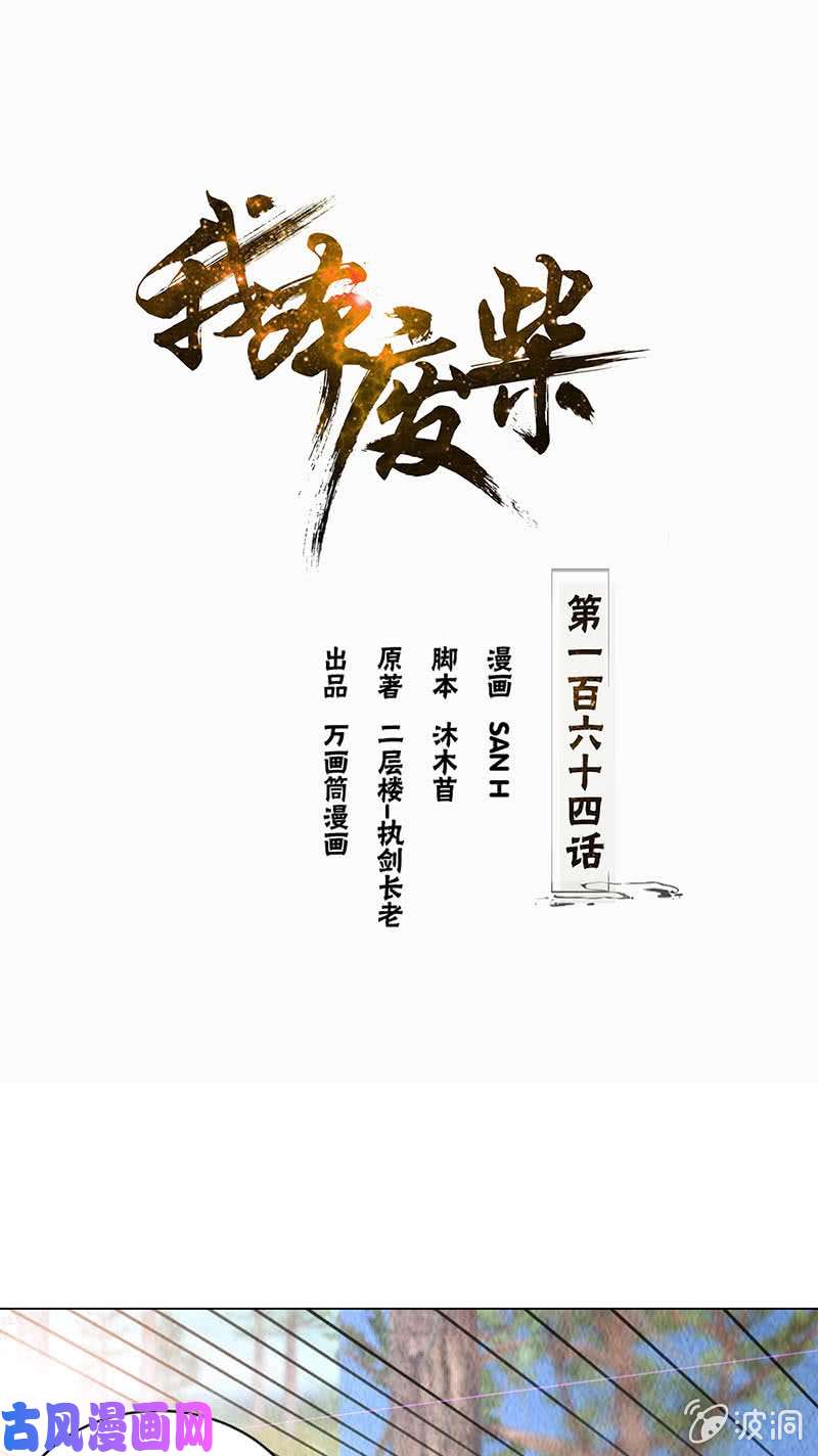 我本废柴降龙掌