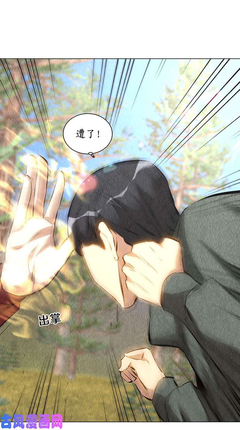 我本废柴降龙掌