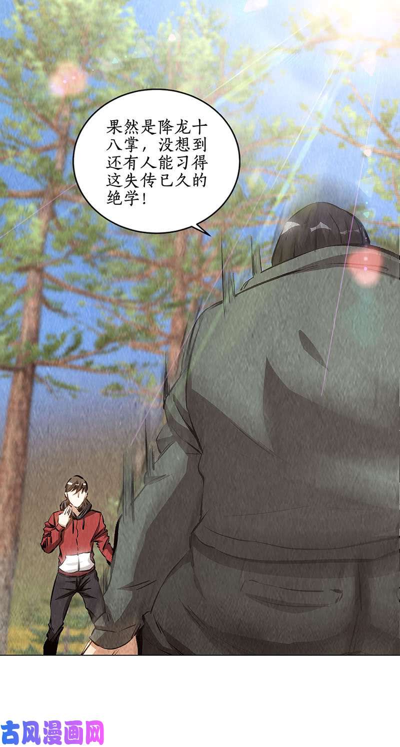 我本废柴降龙掌