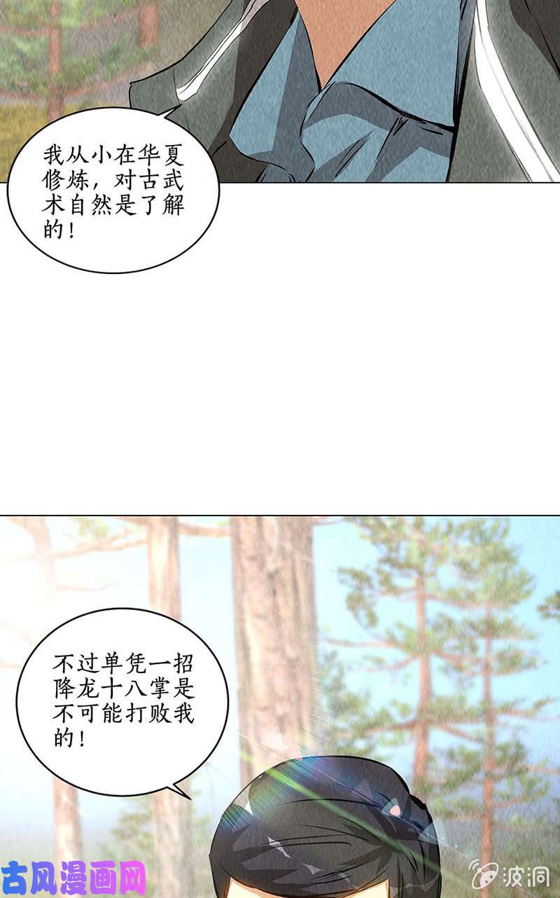 我本废柴降龙掌