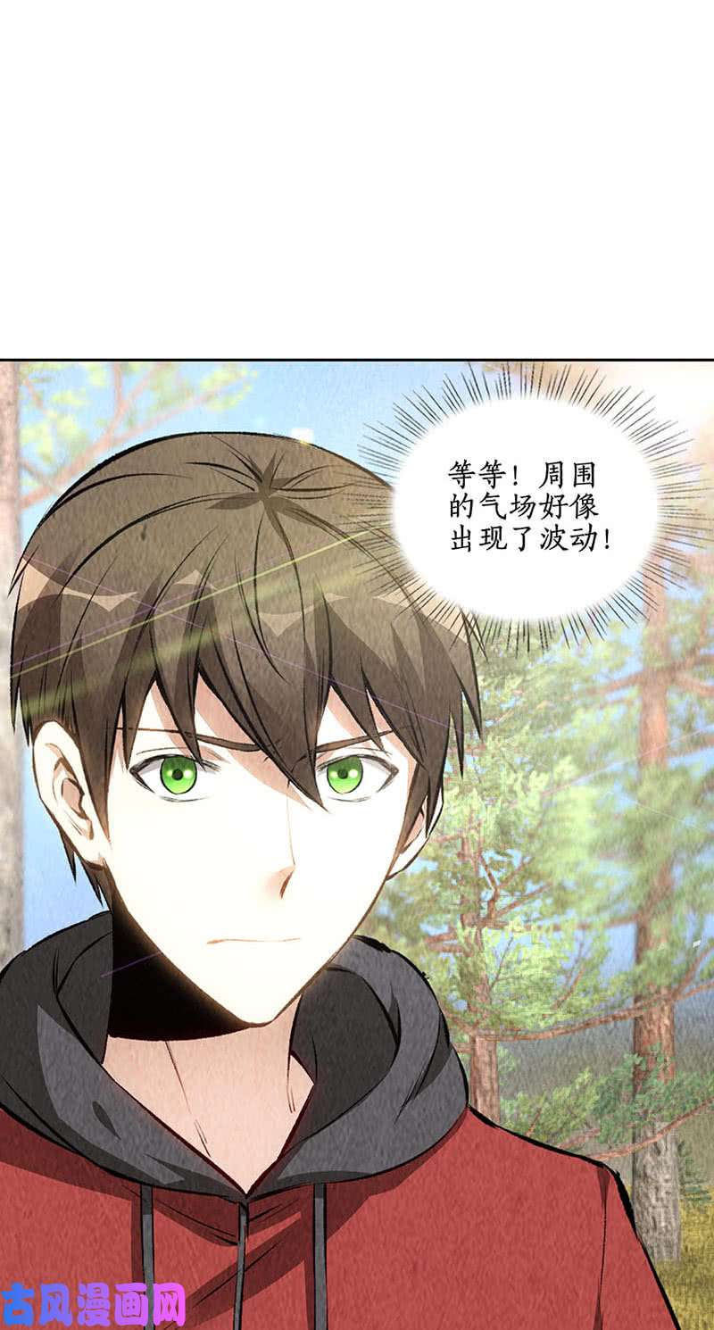 我本废柴降龙掌