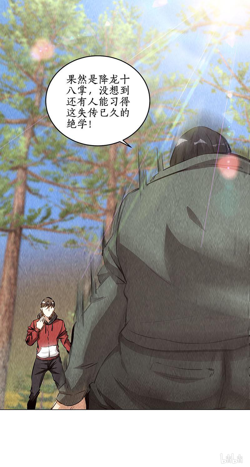 我本废柴第164话 降龙掌
