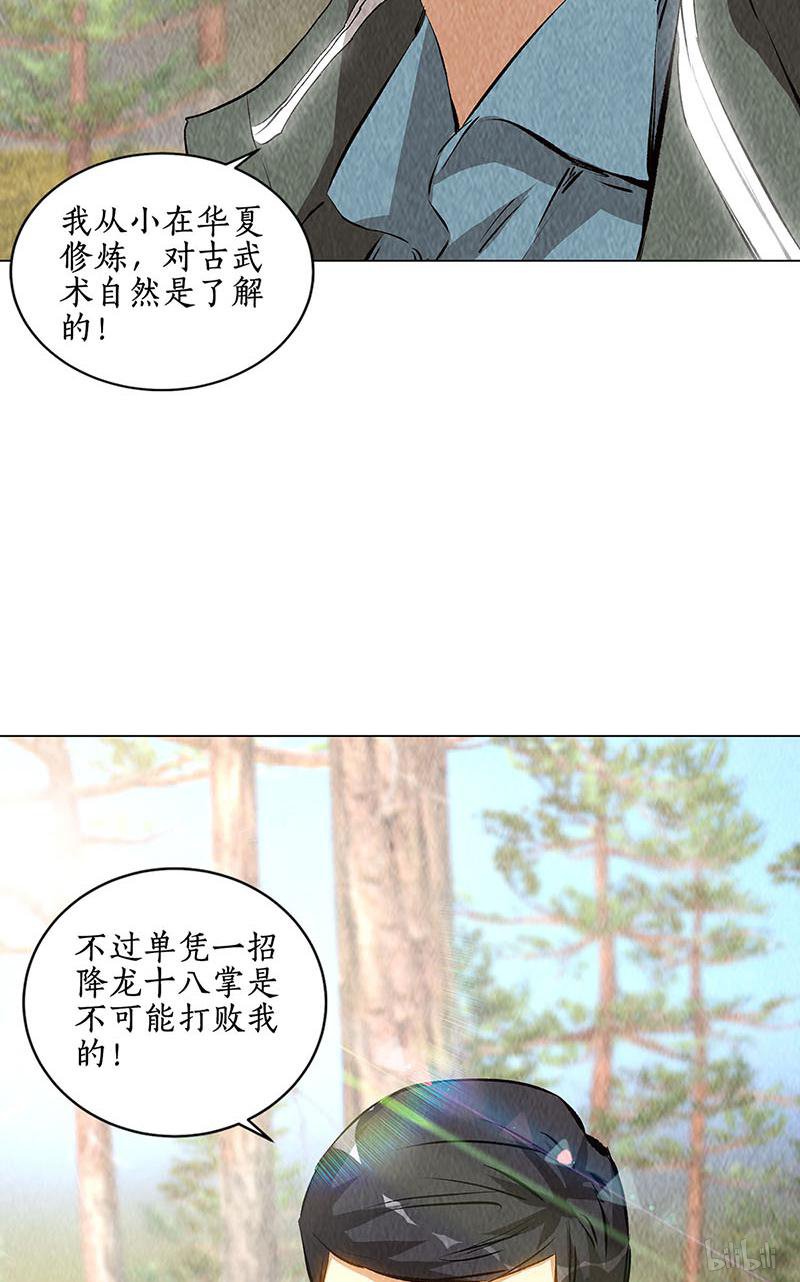 我本废柴第164话 降龙掌