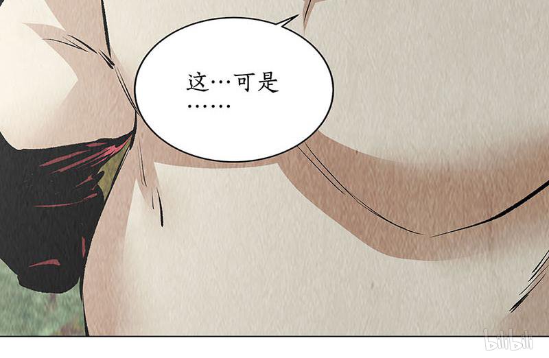 我本废柴第165话 土遁