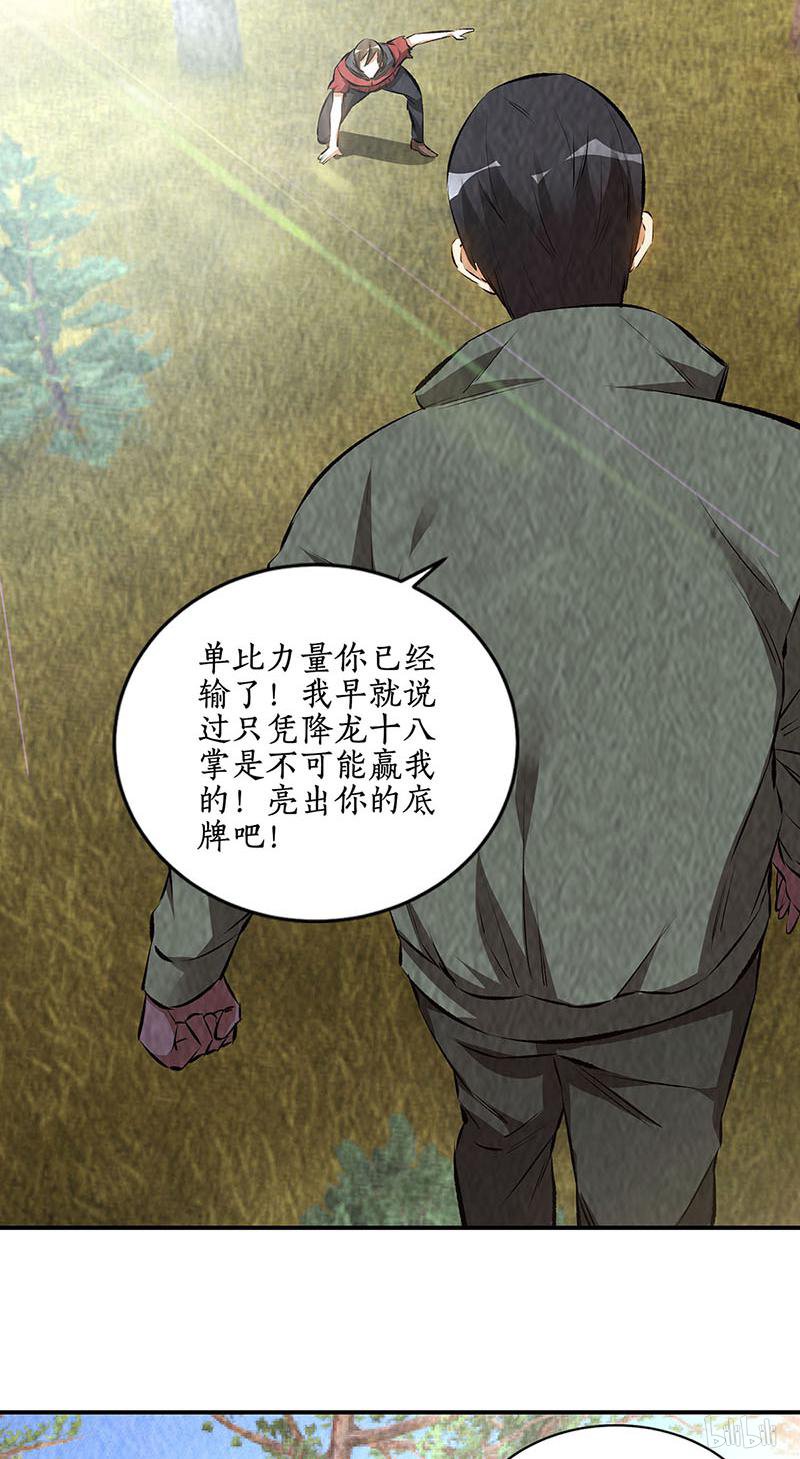 我本废柴第166话 化骨绵掌
