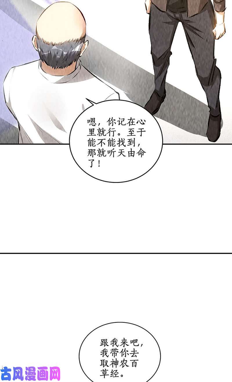 我本废柴神农百草