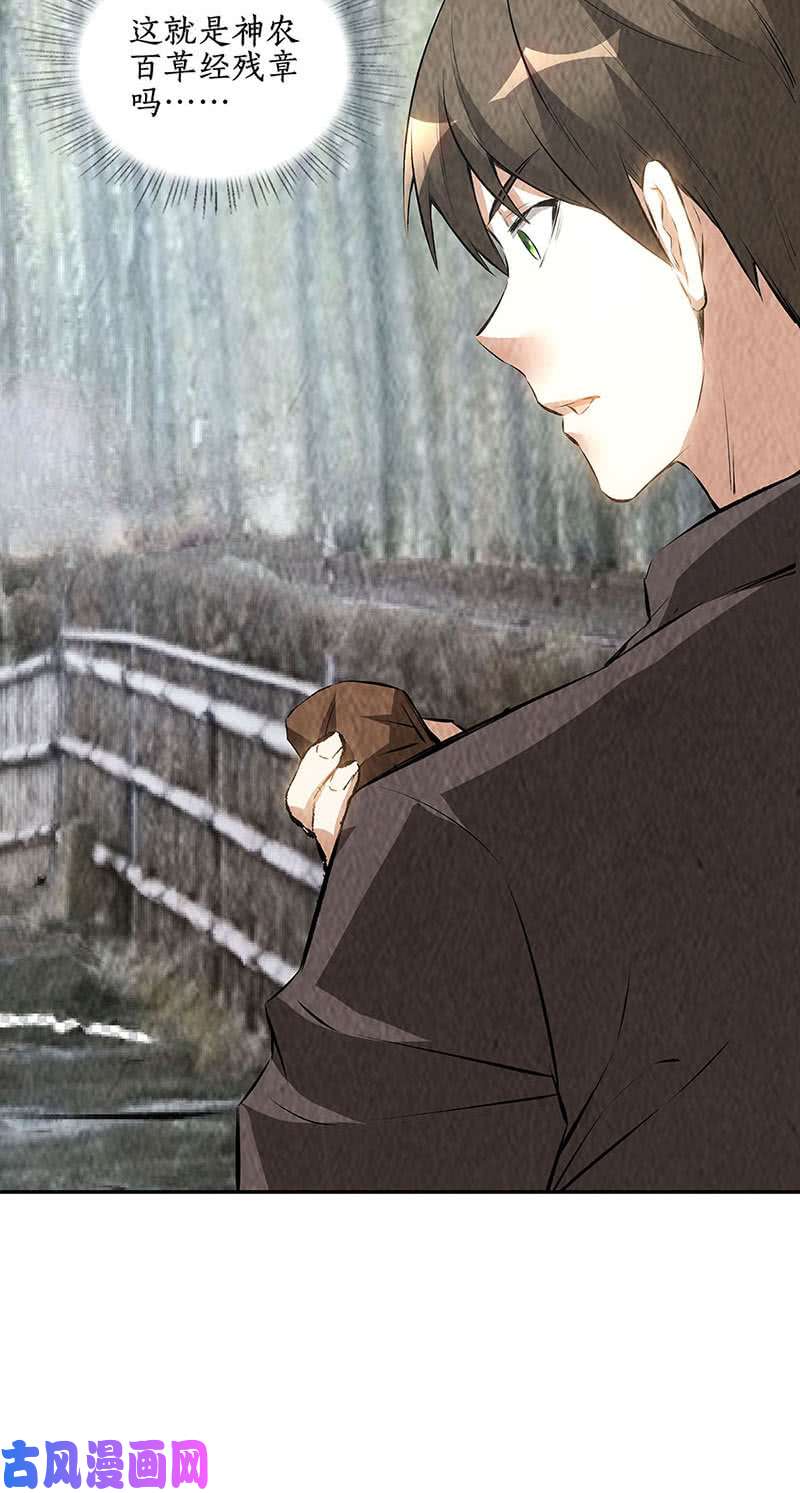 我本废柴神农百草