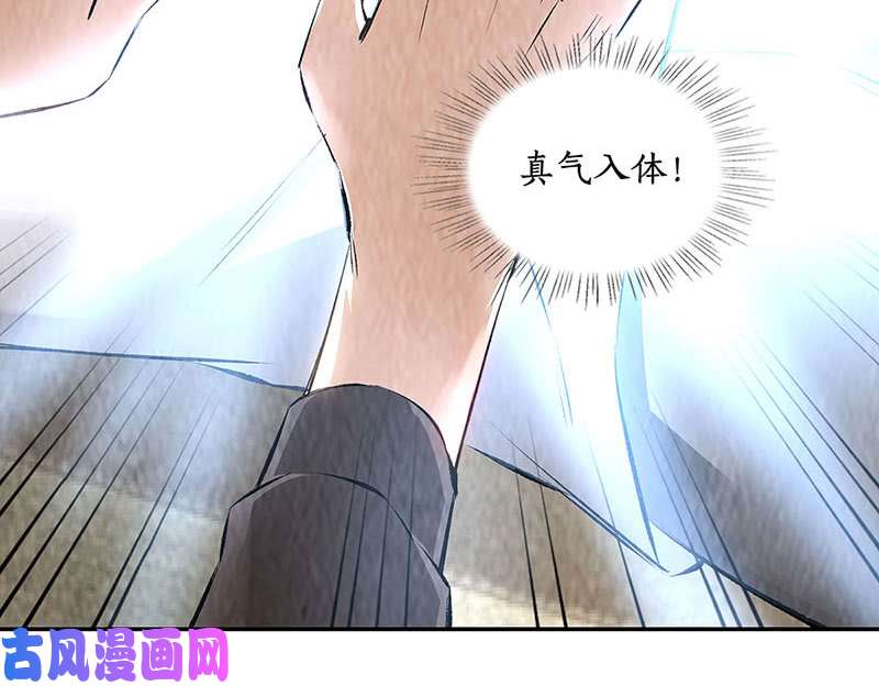 我本废柴治腿疾
