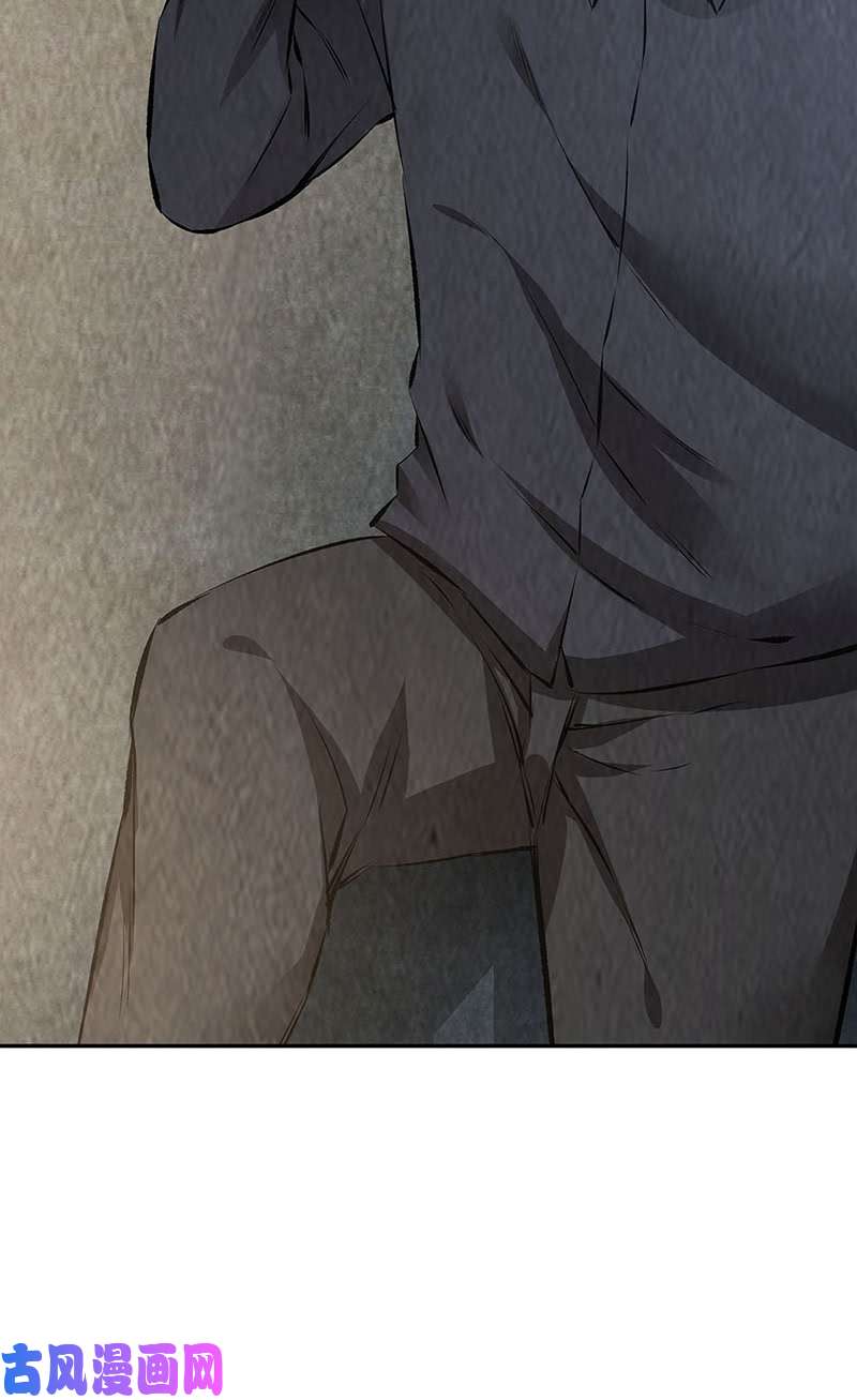 我本废柴妙手话春