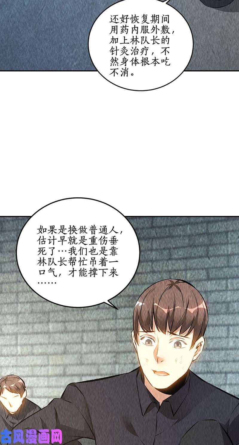 我本废柴妙手话春