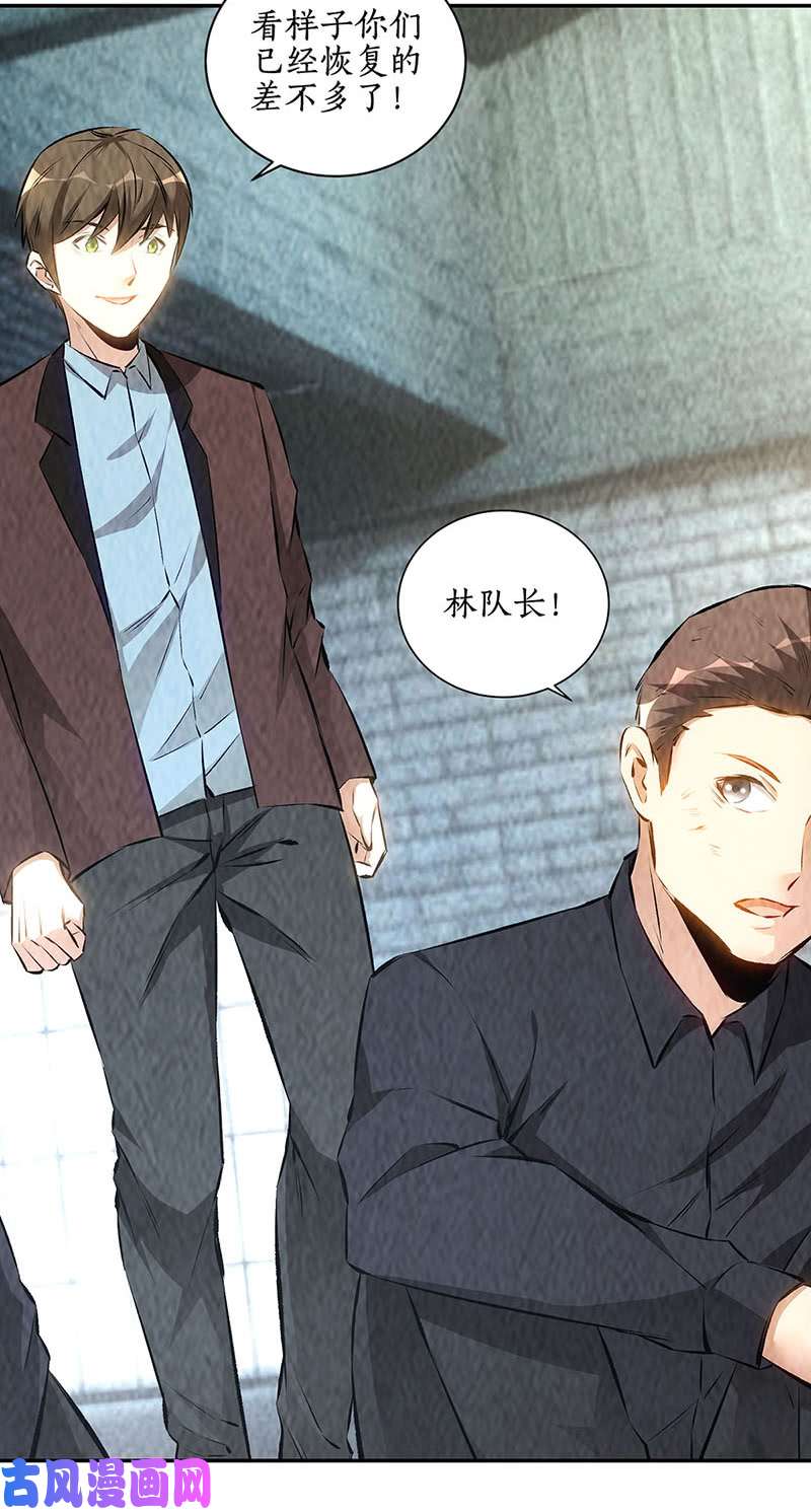 我本废柴妙手话春