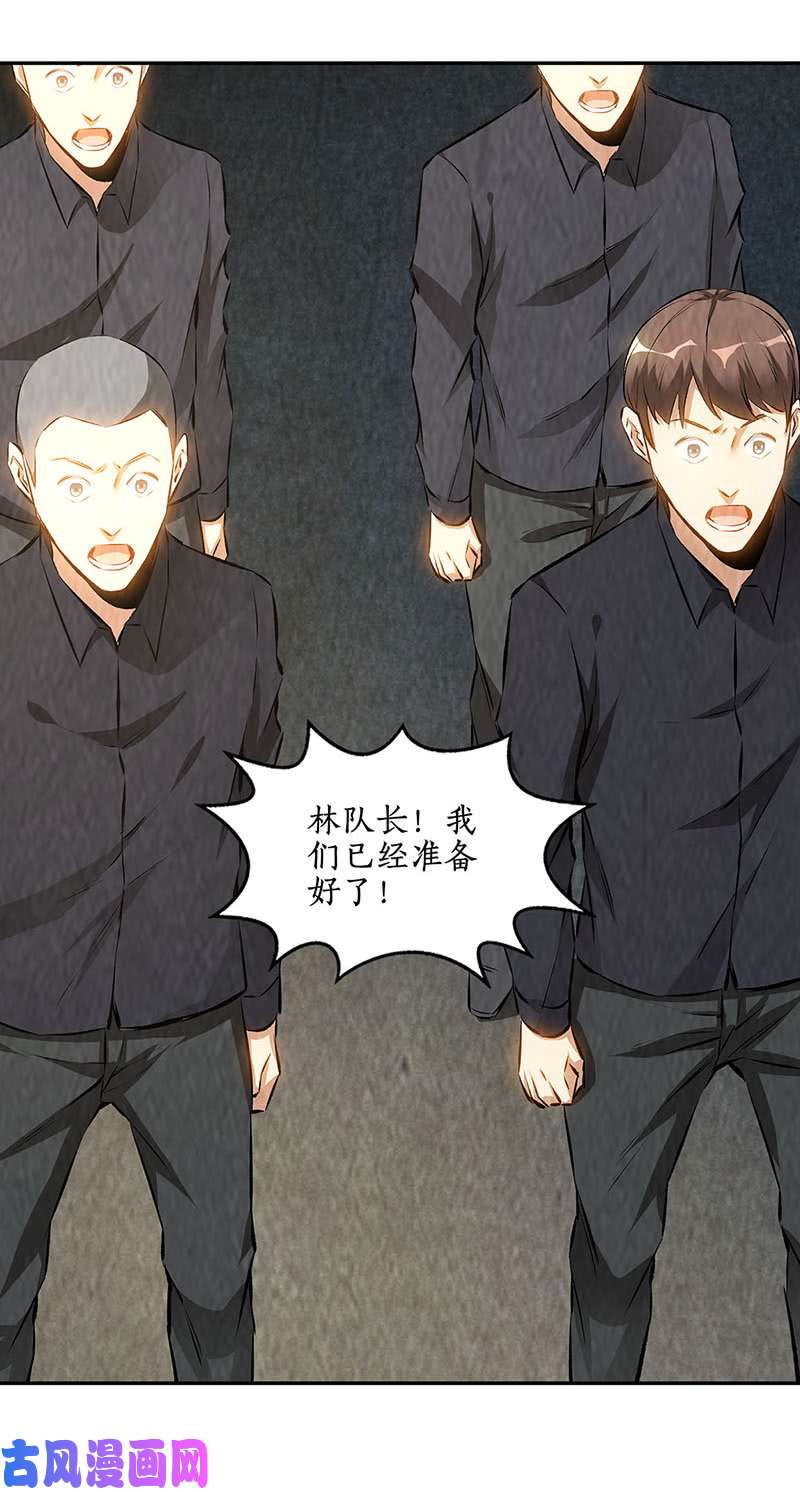 我本废柴妙手话春