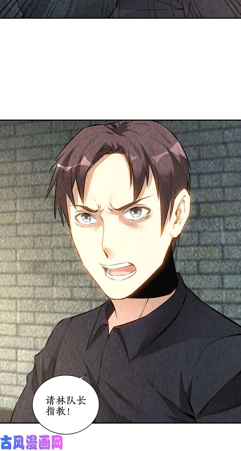 我本废柴妙手话春
