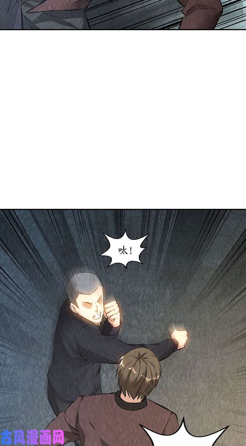 我本废柴妙手话春
