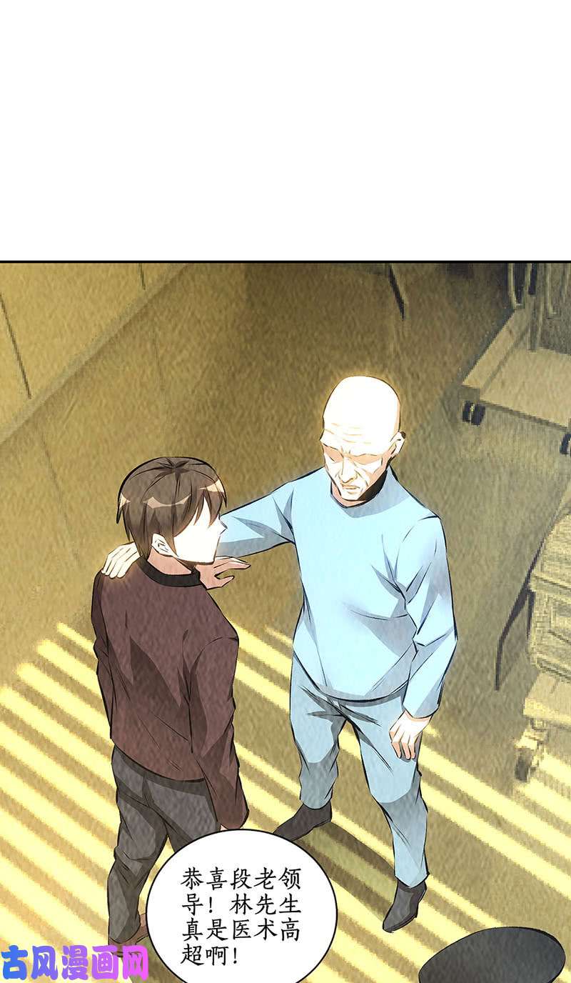 我本废柴妙手话春