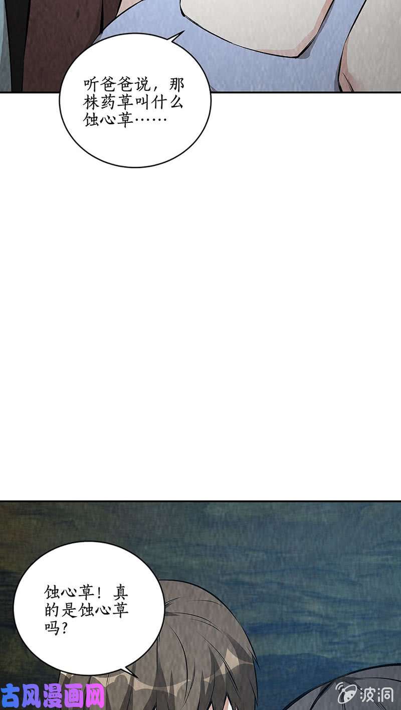 我本废柴青澜入魔