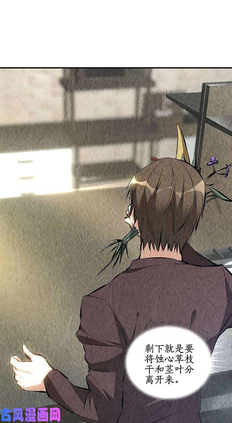我本废柴制药