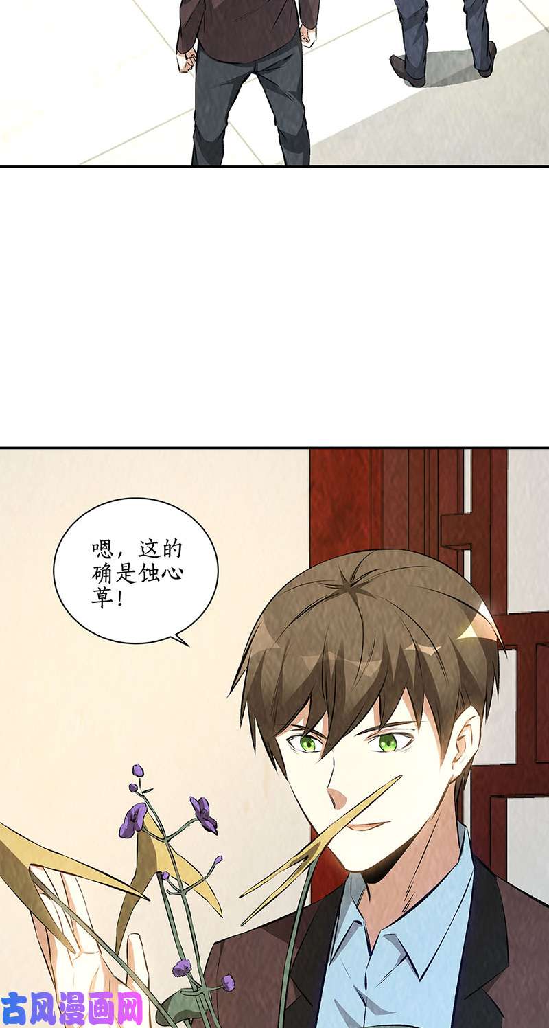我本废柴制药