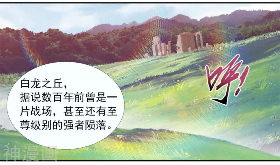 斗破苍穹之大主宰第257话 北苍大陆的情况51P