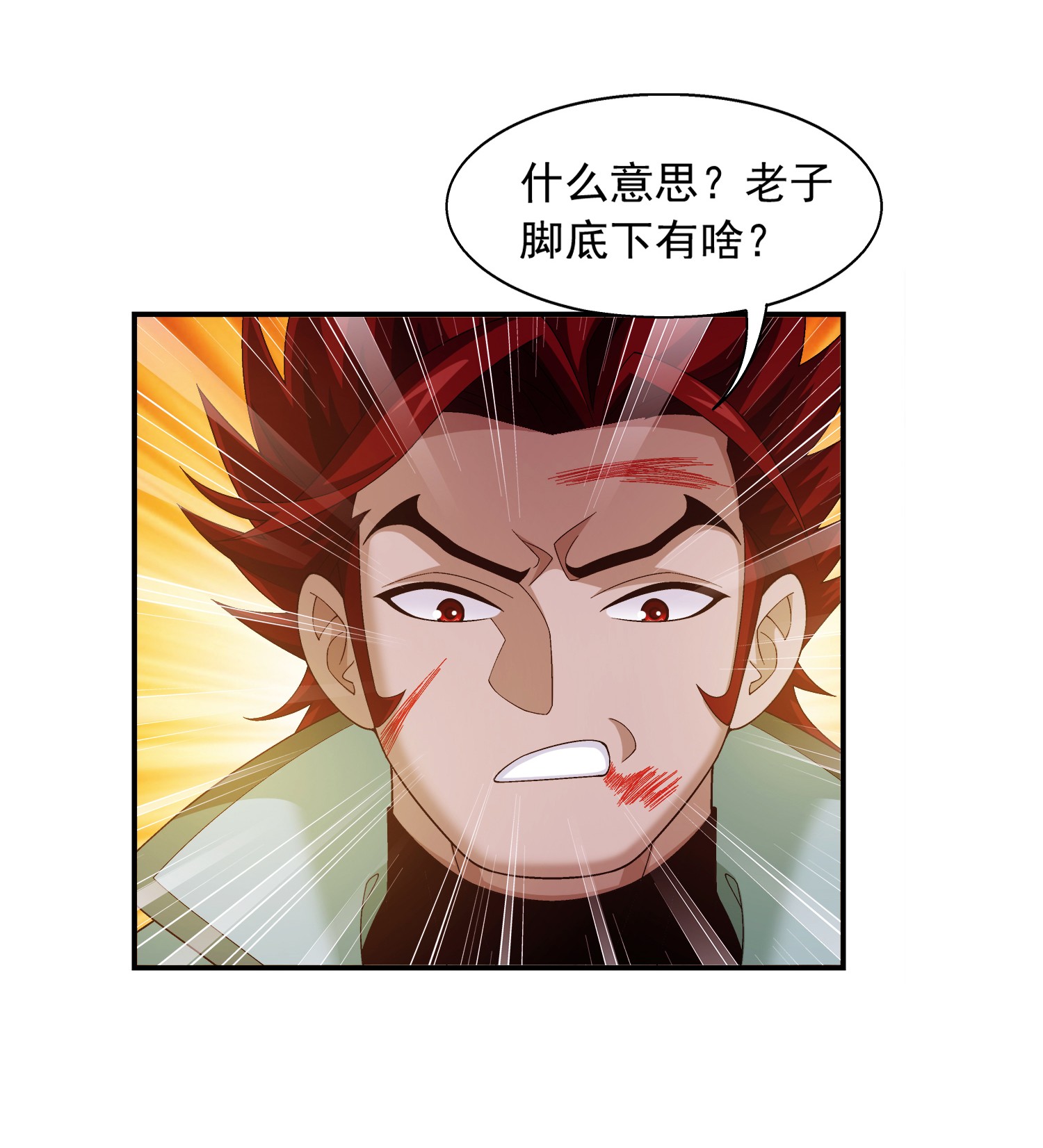 斗破苍穹之大主宰496 万木之界