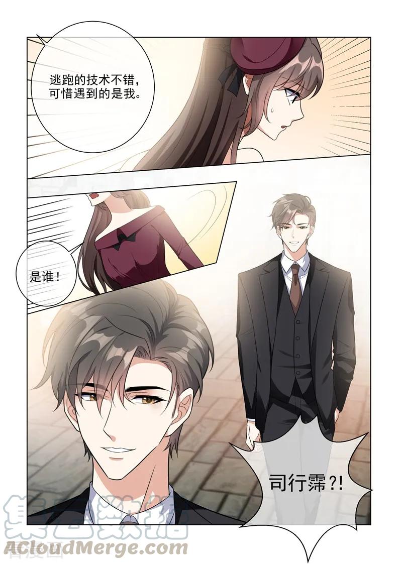 司少你老婆又跑了217话 他才是我的未婚夫！