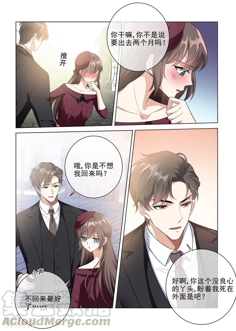 司少你老婆又跑了217话 他才是我的未婚夫！