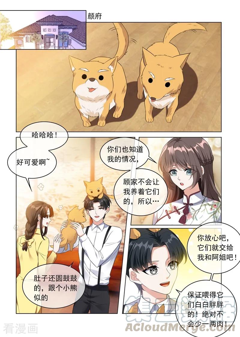 司少你老婆又跑了230话 婚事提前了？