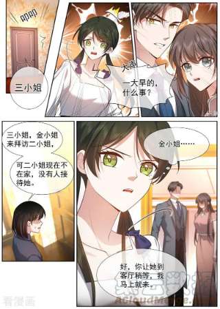 司少你老婆又跑了489话 你惹的桃花债？