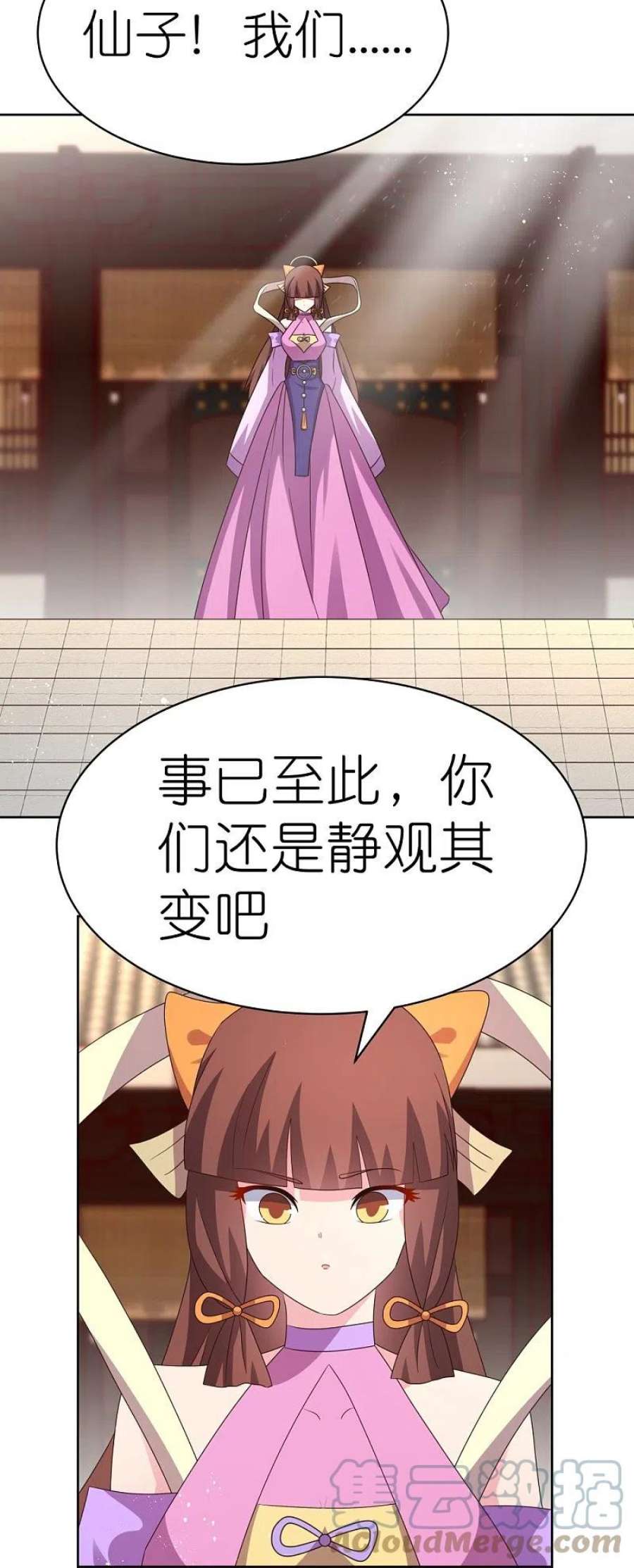 尊上408话 静观其变