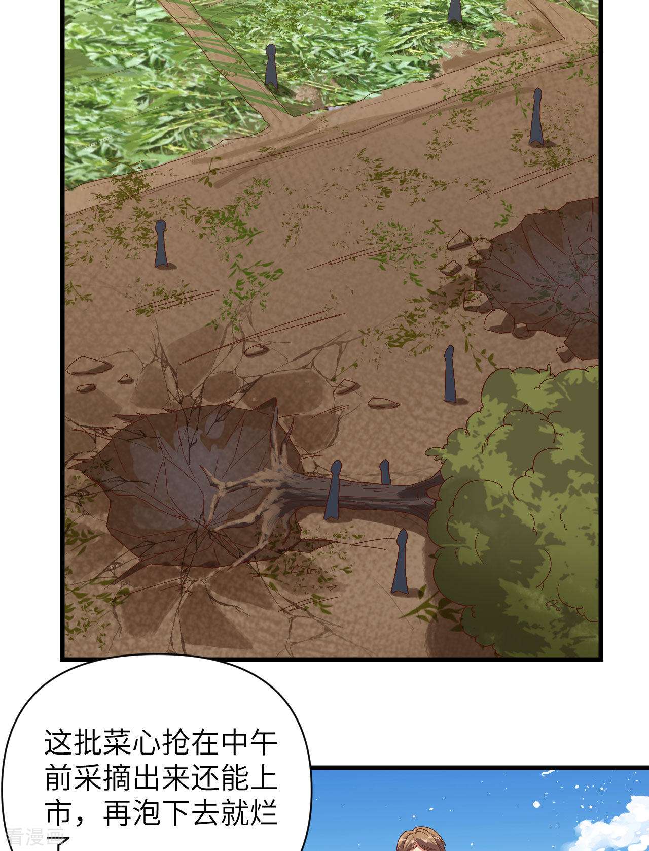 从今天开始当城主327话
