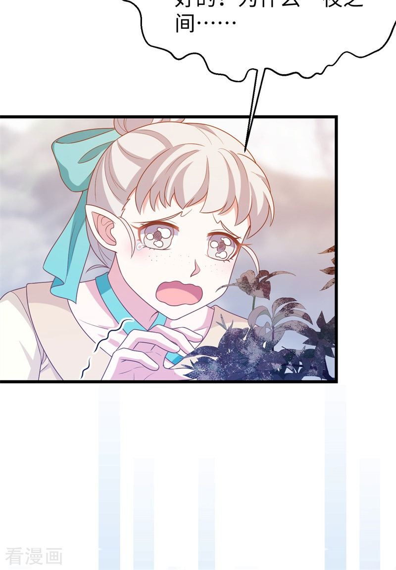 从今天开始当城主441话