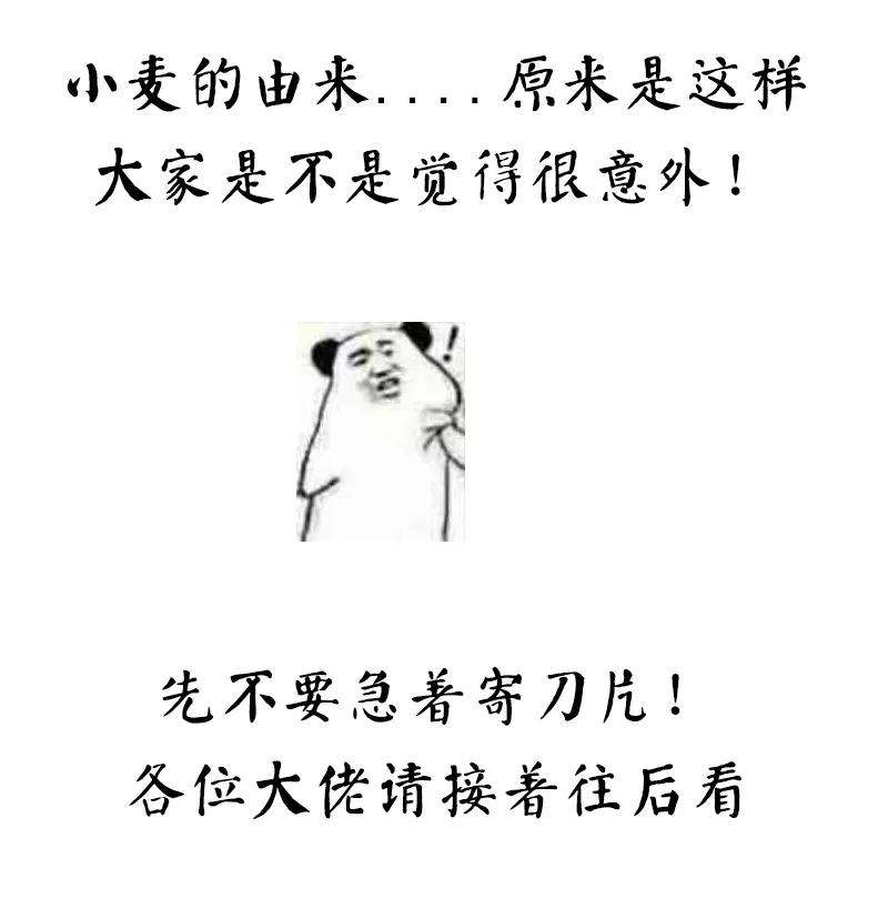 恶魔总统请放手8话 我该怎么办？